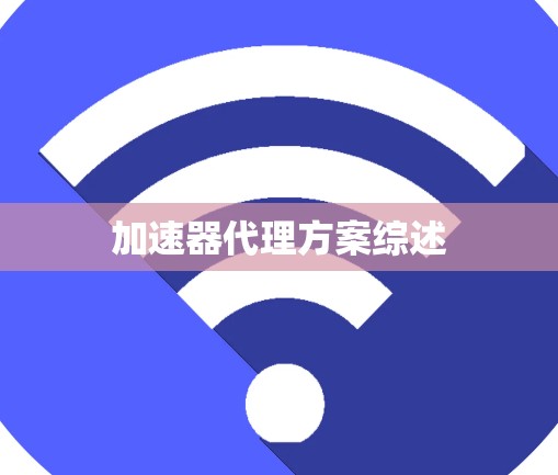 加速器代理方案综述