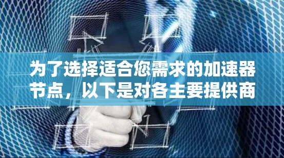 为了选择适合您需求的加速器节点，以下是对各主要提供商的详细分析和推荐