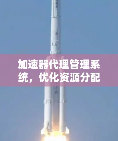 加速器代理管理系统，优化资源分配，提升数据处理性能