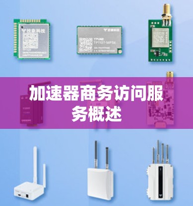 加速器商务访问服务概述