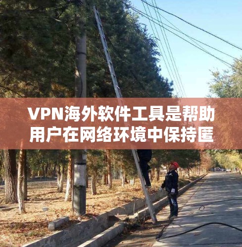 VPN海外软件工具是帮助用户在网络环境中保持匿名和安全的重要工具。以下是关于VPN海外软件工具的详细介绍