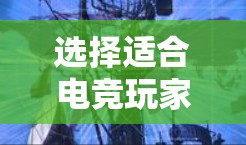 选择适合电竞玩家的VPN需要综合考虑性能、安全性和可靠性，以确保在游戏中不会受到干扰或连接问题。以下是一些建议和指南，帮助你选择合适的VPN