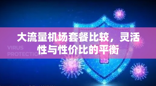 大流量机场套餐比较，灵活性与性价比的平衡