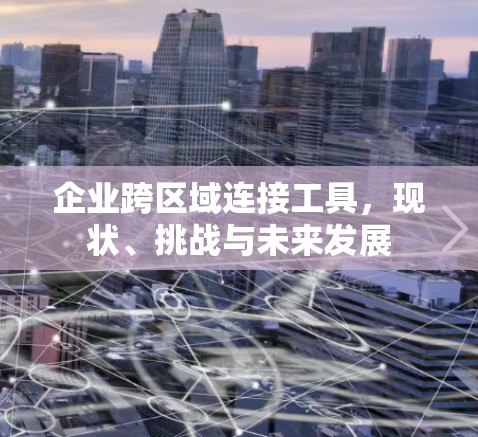 企业跨区域连接工具，现状、挑战与未来发展