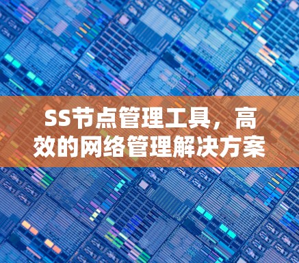 SS节点管理工具，高效的网络管理解决方案