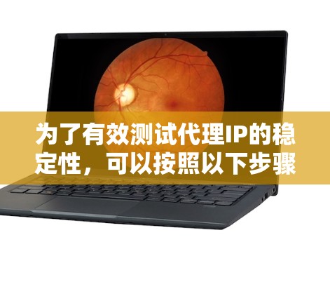 为了有效测试代理IP的稳定性，可以按照以下步骤进行