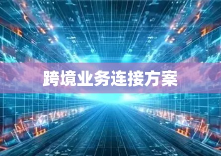 跨境业务连接方案