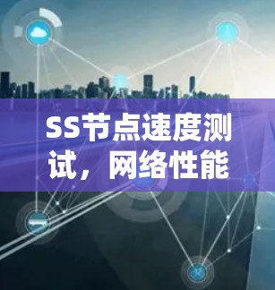 SS节点速度测试，网络性能的关键考量