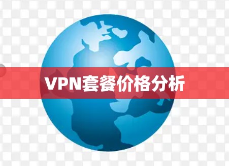 VPN套餐价格分析