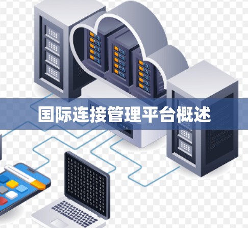 国际连接管理平台概述