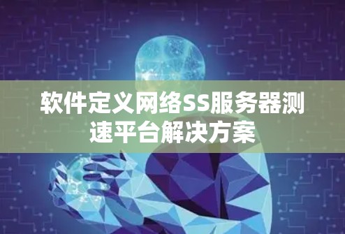 软件定义网络SS服务器测速平台解决方案