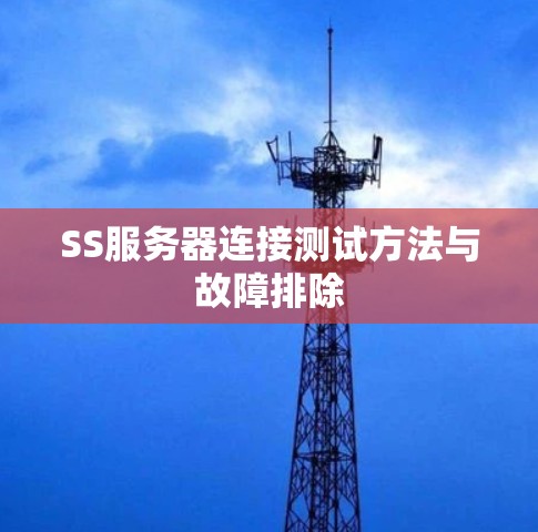 SS服务器连接测试方法与故障排除