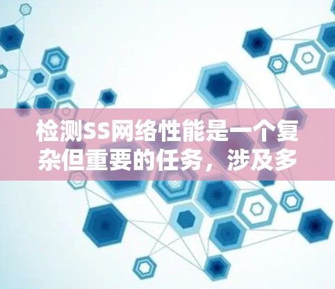 检测SS网络性能是一个复杂但重要的任务，涉及多个步骤和技术。以下是对该过程的分步骤解释