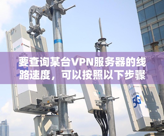 要查询某台VPN服务器的线路速度，可以按照以下步骤操作