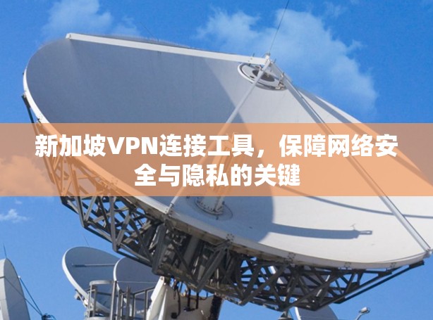 新加坡VPN连接工具，保障网络安全与隐私的关键