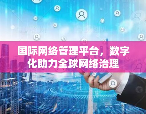 国际网络管理平台，数字化助力全球网络治理