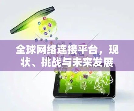 全球网络连接平台，现状、挑战与未来发展