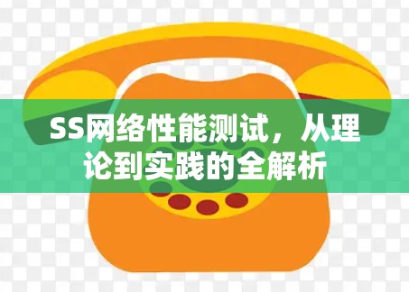 SS网络性能测试，从理论到实践的全解析