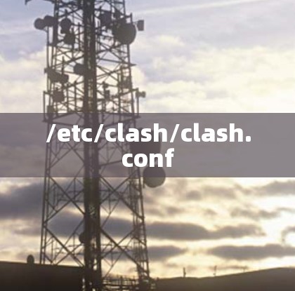 /etc/clash/clash.conf