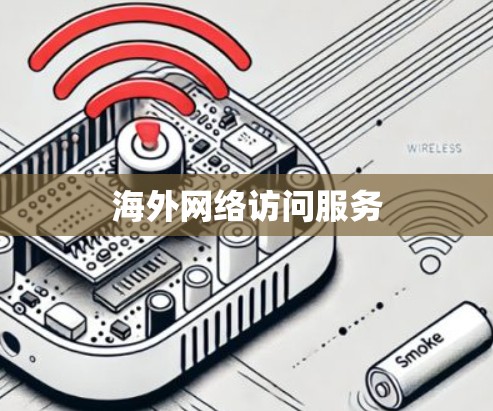 海外网络访问服务