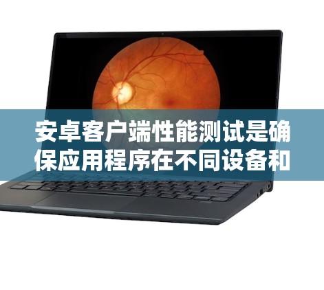 安卓客户端性能测试是确保应用程序在不同设备和环境下稳定高效运行的关键环节。以下是对安卓客户端性能测试的详细分析
