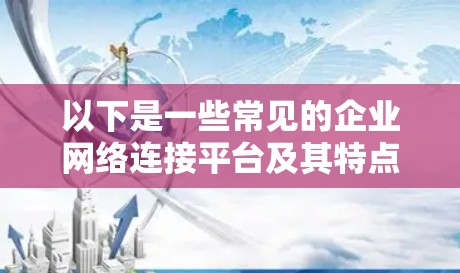 以下是一些常见的企业网络连接平台及其特点