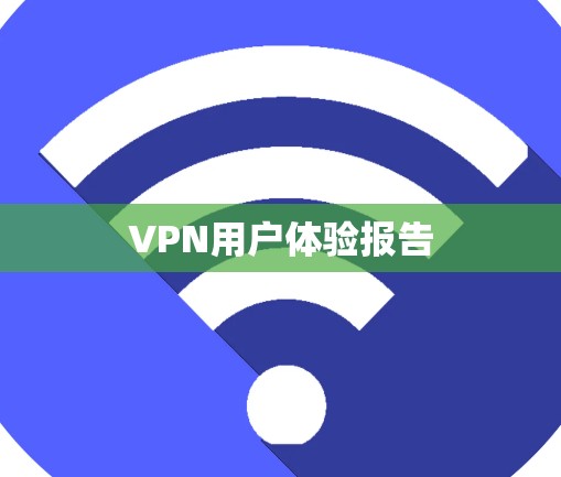 VPN用户体验报告