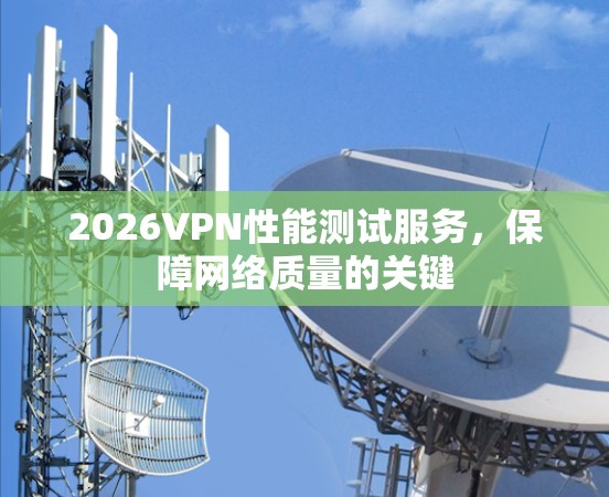 2026VPN性能测试服务，保障网络质量的关键
