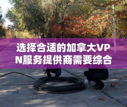 选择合适的加拿大VPN服务提供商需要综合考虑多个因素，以下是一个结构化的解决方案