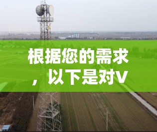 根据您的需求，以下是对VPN流畅访问工具的详细分析和推荐