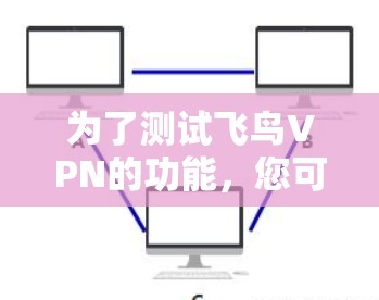 为了测试飞鸟VPN的功能，您可以按照以下步骤进行