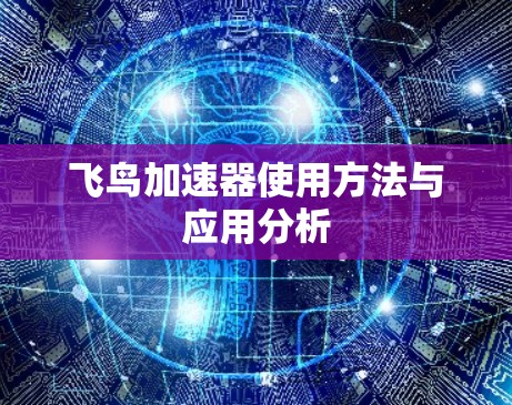 飞鸟加速器使用方法与应用分析