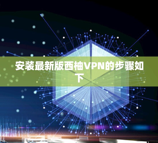 安装最新版西柚VPN的步骤如下