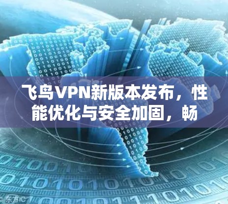飞鸟VPN新版本发布，性能优化与安全加固，畅流全球网络