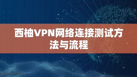 西柚VPN网络连接测试方法与流程