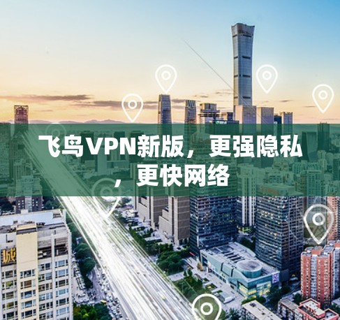 飞鸟VPN新版，更强隐私，更快网络