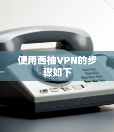 使用西柚VPN的步骤如下