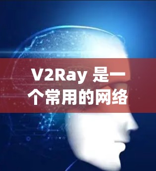 V2Ray 是一个常用的网络代理工具，可以帮助你绕过网络限制，访问无法直接访问的网站或服务。以下是 V2Ray 的连接设置方法，假设你已经安装并配置了 V2Ray