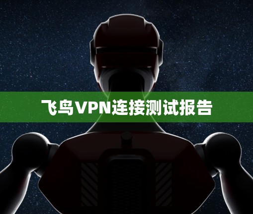 飞鸟VPN连接测试报告