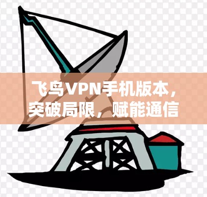 飞鸟VPN手机版本，突破局限，赋能通信未来