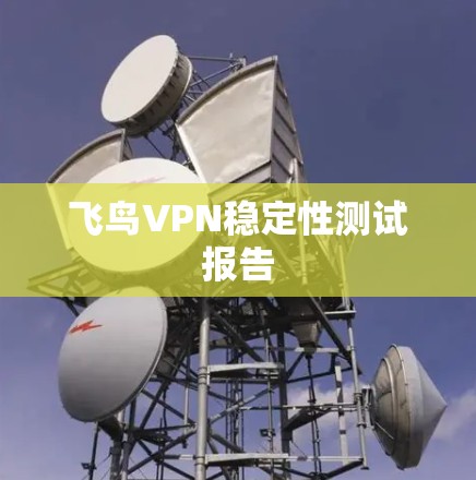 飞鸟VPN稳定性测试报告