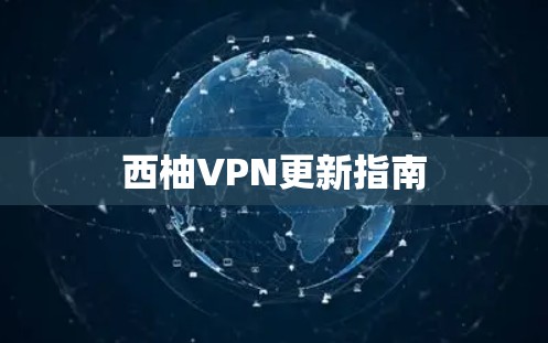 西柚VPN更新指南