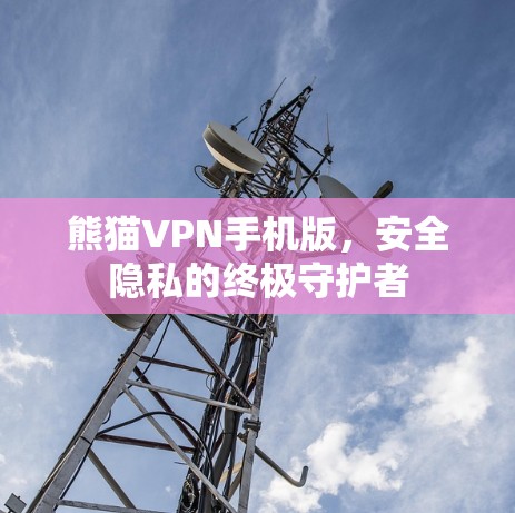 熊猫VPN手机版，安全隐私的终极守护者