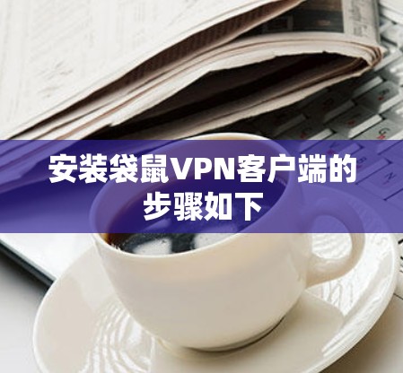 安装袋鼠VPN客户端的步骤如下