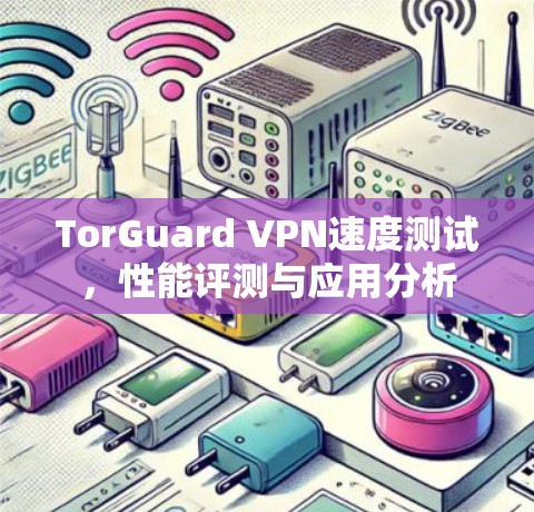 TorGuard VPN速度测试，性能评测与应用分析