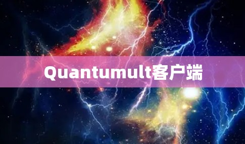Quantumult客户端