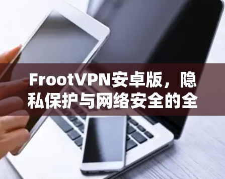 FrootVPN安卓版，隐私保护与网络安全的全新解决方案