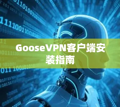 GooseVPN客户端安装指南