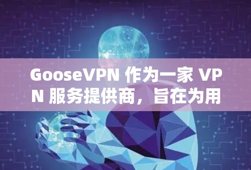 GooseVPN 作为一家 VPN 服务提供商，旨在为用户提供匿名、安全的网络连接体验。以下是对 GooseVPN 的一个综合性评测，基于用户反馈、产品特点以及市场评价