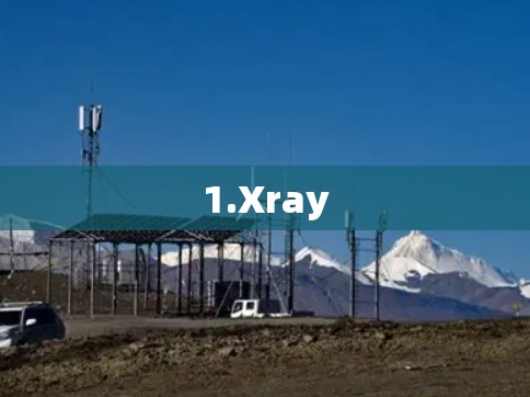 1.Xray